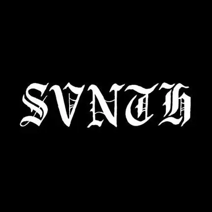 SVNTH - Vox Profana - BLACKZine.com