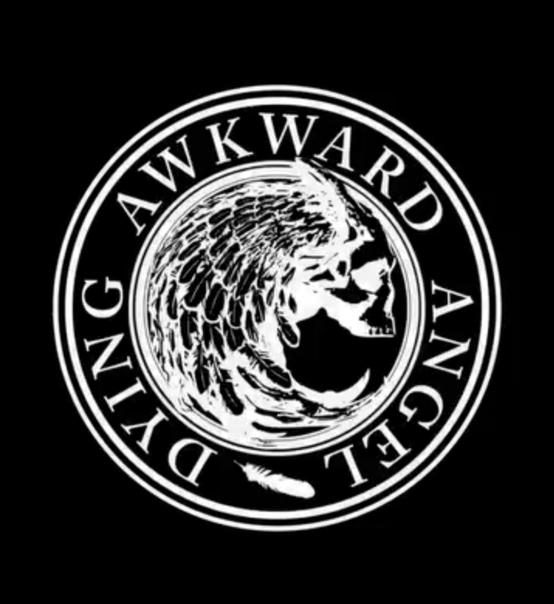 DYING AWKWARD ANGEL - Vox Profana - BLACKZine.com